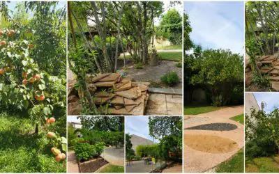Un jardin thérapeutique qui porte du fruit !